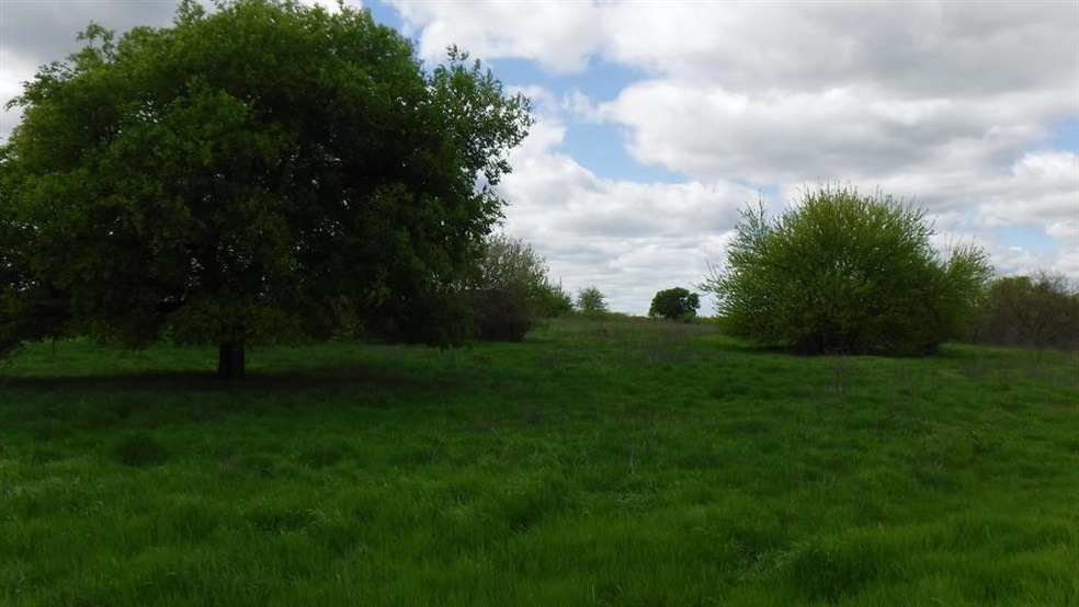 0 County Road 4196, Decatur, TX 76234 - photo 1