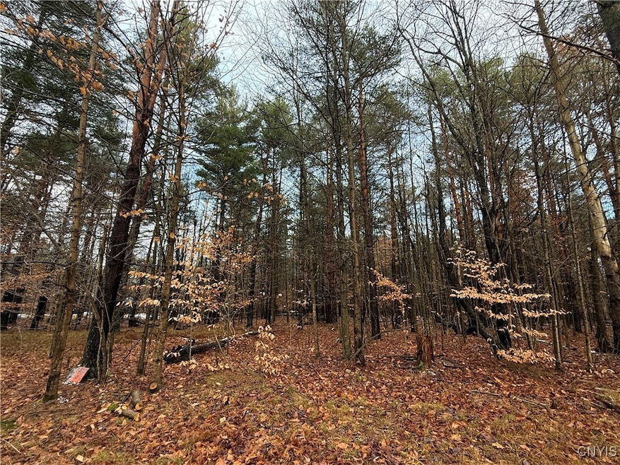 5098 Rugby Rd, Greig, NY 13312 - photo 1