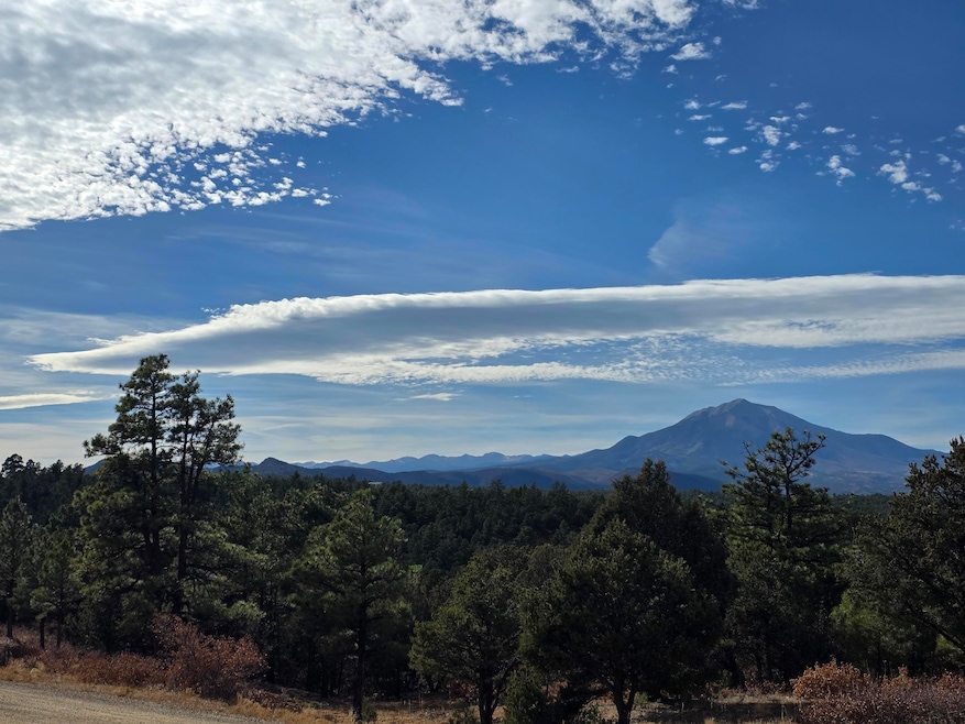 0 Rugby Mines Rd unit 138, Aguilar, CO 81020 - photo 1