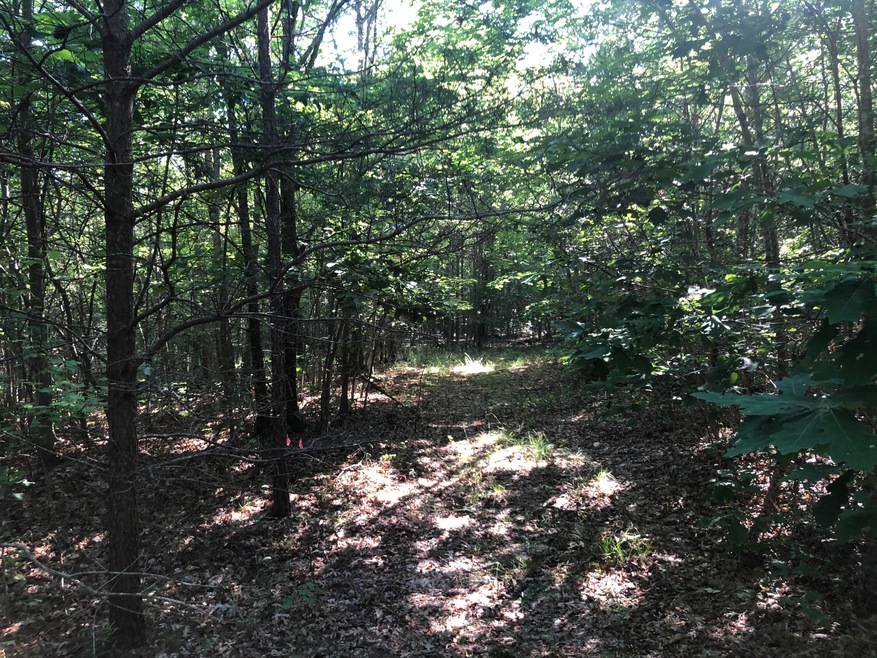 Brier Lane IMG_9975
