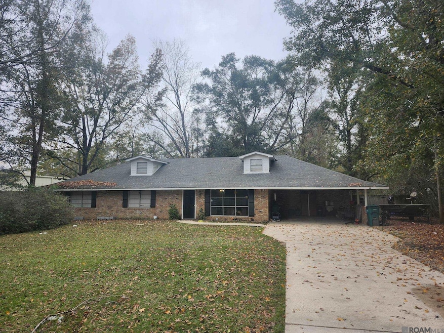 10345 Springfield Rd, Denham Springs, LA 70706 - photo 1