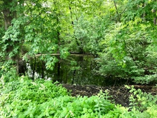 87 S Spencer Rd, Spencer, MA 01562 - photo 1