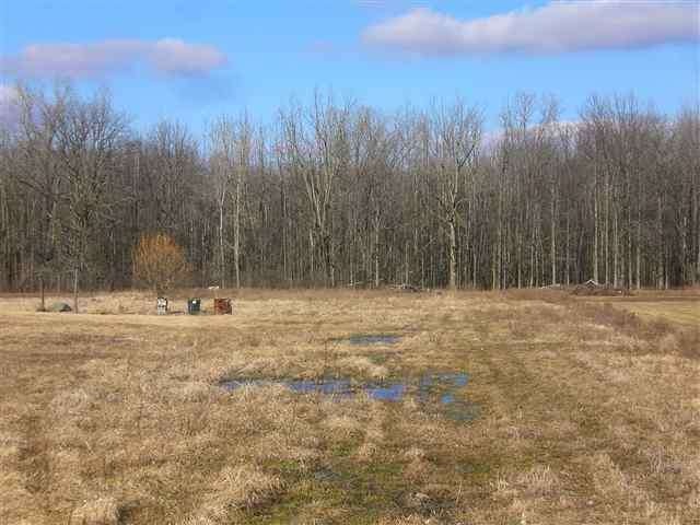 Property sits back on the treeline