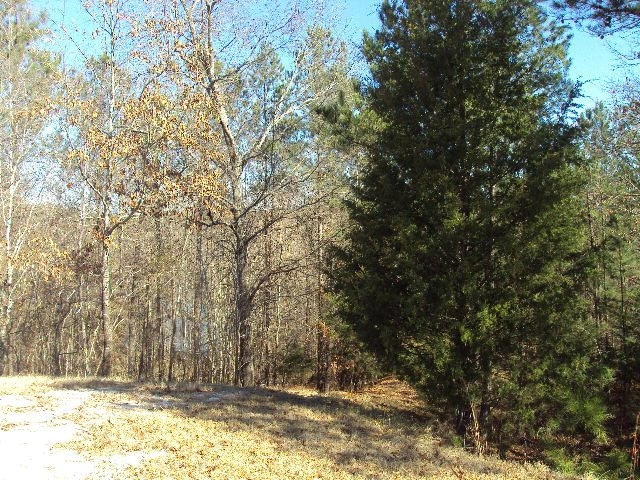 4006 Sutherland Dr, Oxford, MS 38655 - photo 1