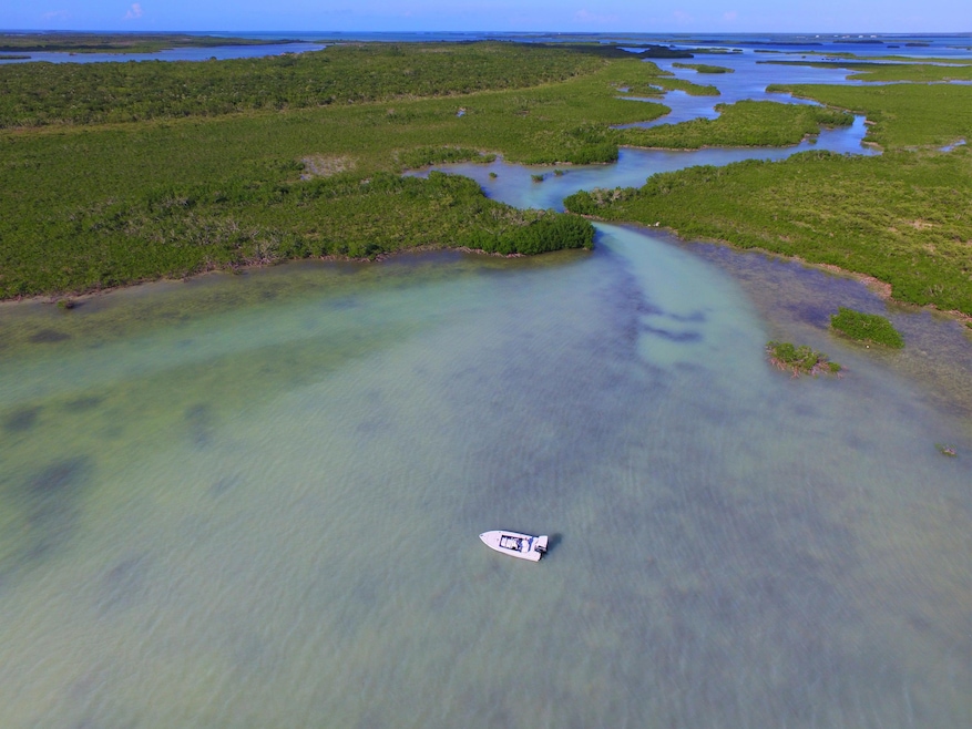 DJI_0113