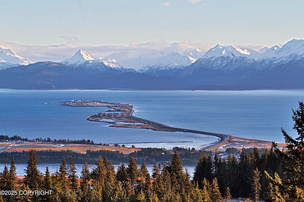 5012 Pine Terrace Cir, Homer, AK 99603 - photo 1