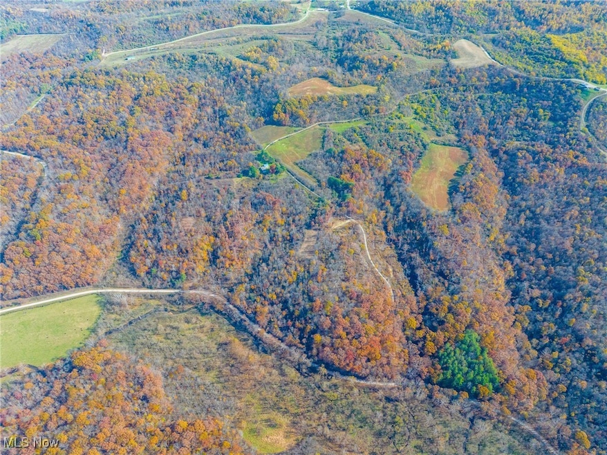 0 Hambel Rd, Union Township, OH 43758 - photo 1