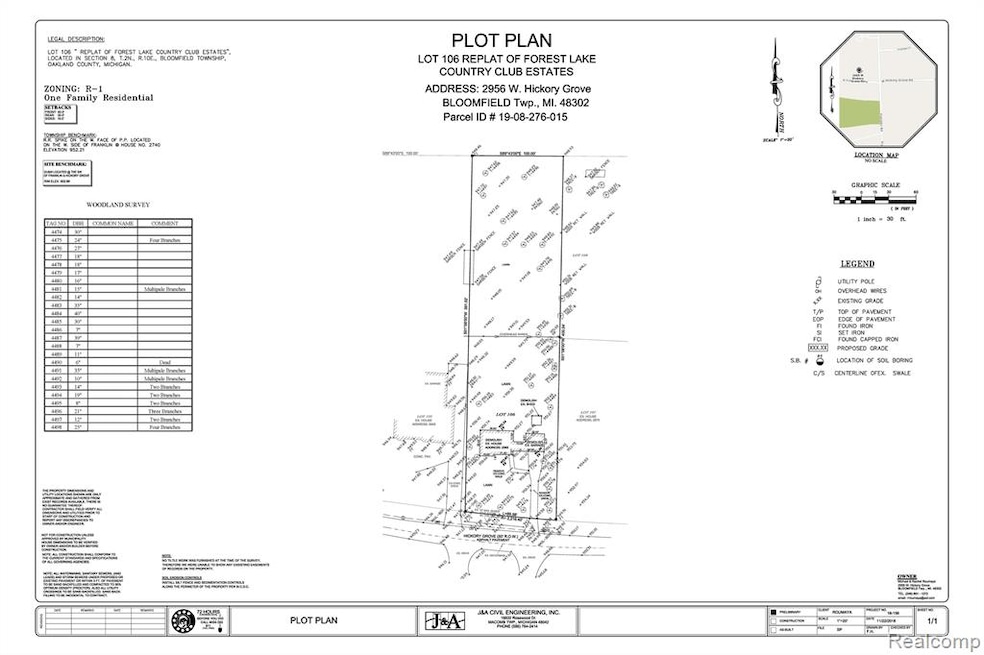 Topo & Tree survey.jpg