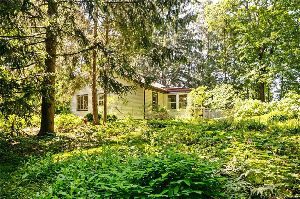 Welcome to Georgetown's Cozy Cottage & Gardens