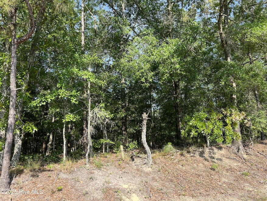Pending $45,000 • Co-Listing Agent
