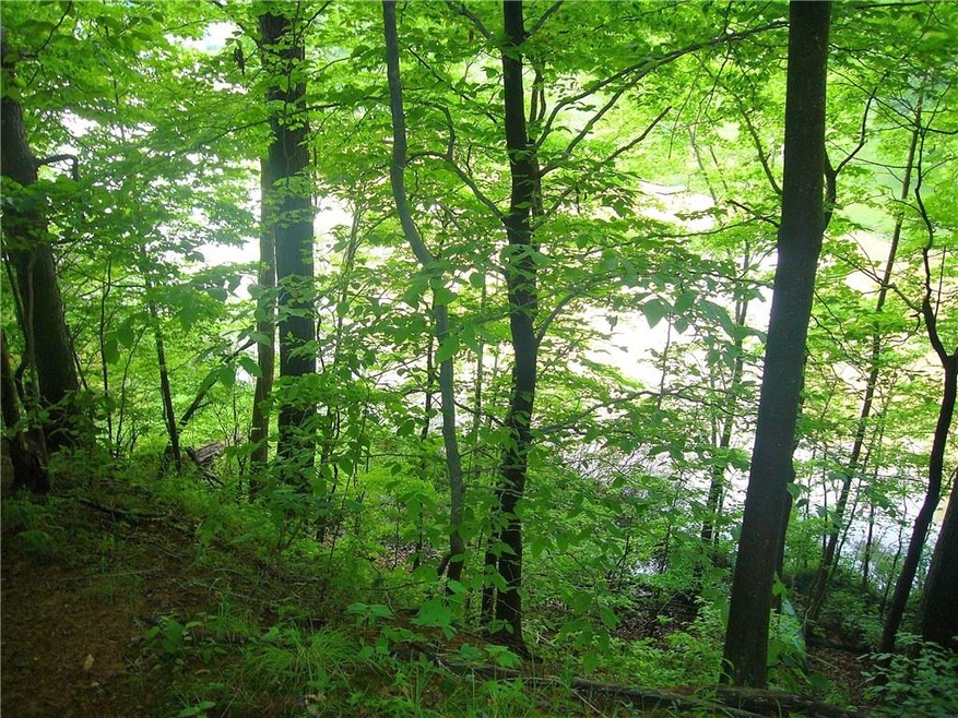 Buildable lot is Painted Hills