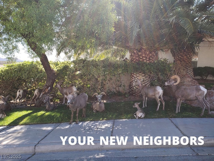 For Rent $2,000/month