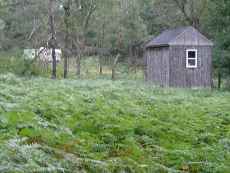 DSC00301