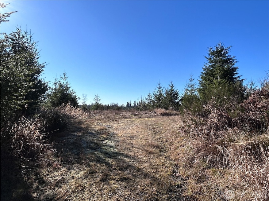 0 NKA Salmon Creek Rd, Toledo, WA 98591 - photo 1