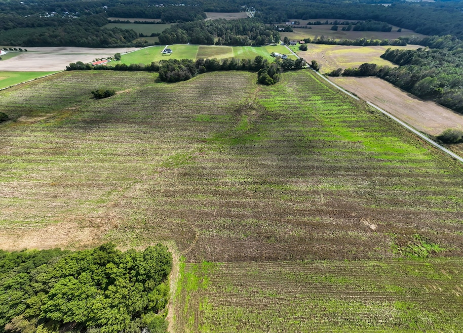 1 Clarence Finney Rd, Hillsboro, TN 37342 - photo 1