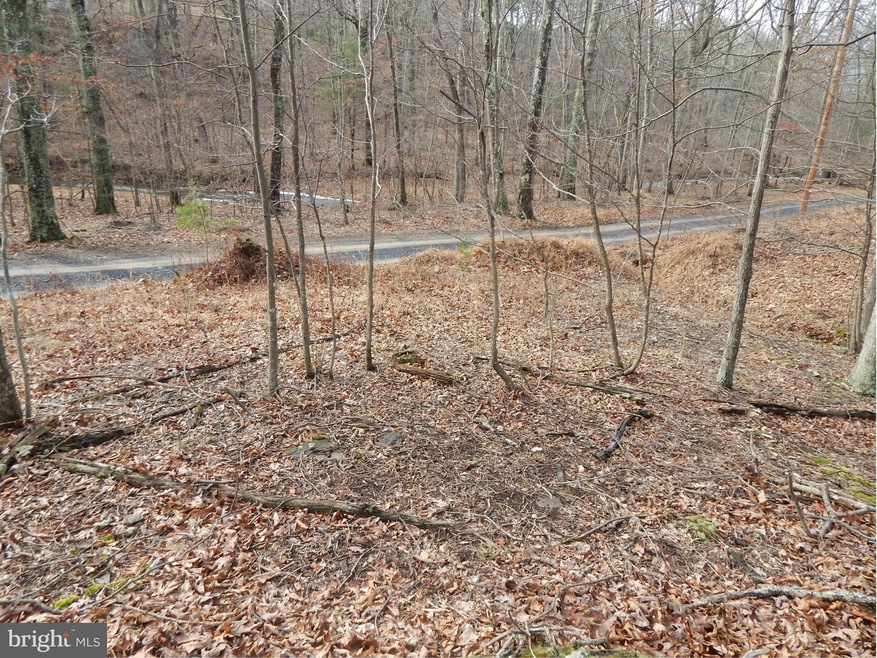 0 Circling Hawk Ln unit 1000168039, Berkeley Springs, WV 25411 - photo 1