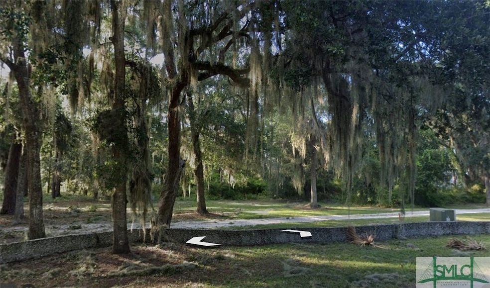 1100 Hudson Creek Ct, Darien, GA 31305 - photo 1