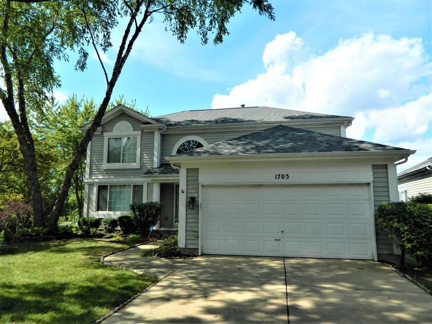 1703 Chalmette Ct, Naperville, IL 60565 - photo 1