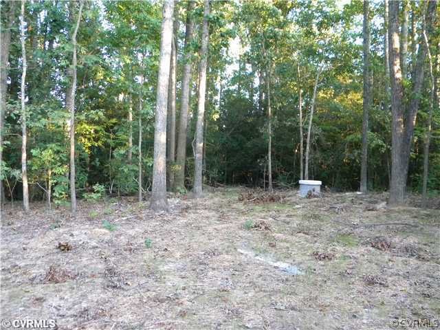 Land - Beautiful 25 ac. lot with many good homesit