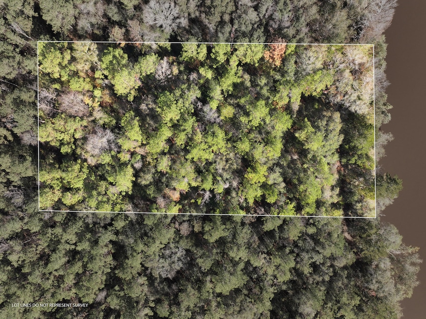 Old_Hwy_24_W_Lot_33-1