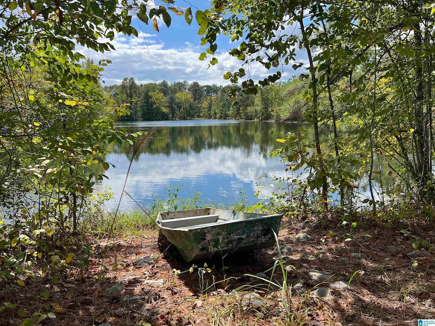 0 Sweatt Rd unit 21398227, Steele, AL 35987 - photo 1