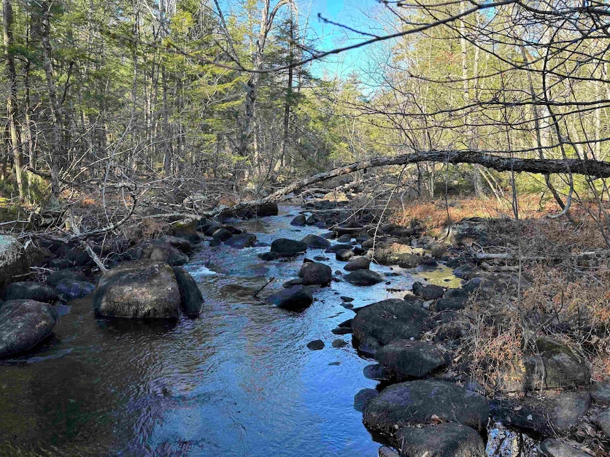 481 Chocorua Mountain Hwy, Tamworth, NH 03886 - photo 1