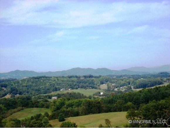 000 Moores Valley Ln, Leicester, NC 28748 - photo 1