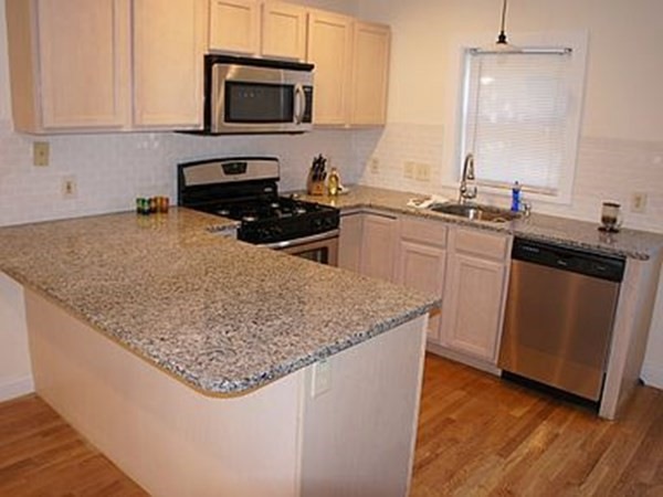 123 Tudor St unit 1, Boston, MA 02127 - photo 1