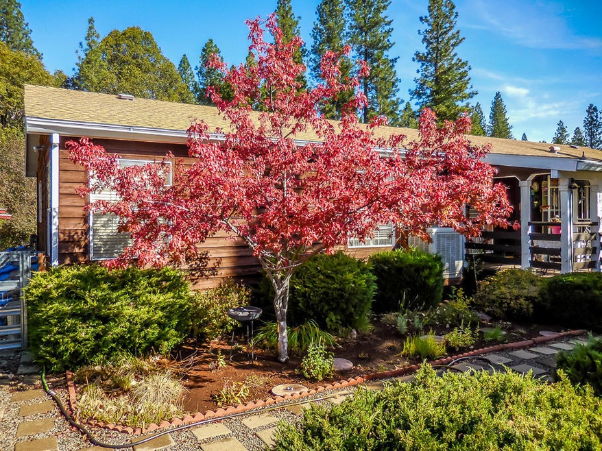 front tree