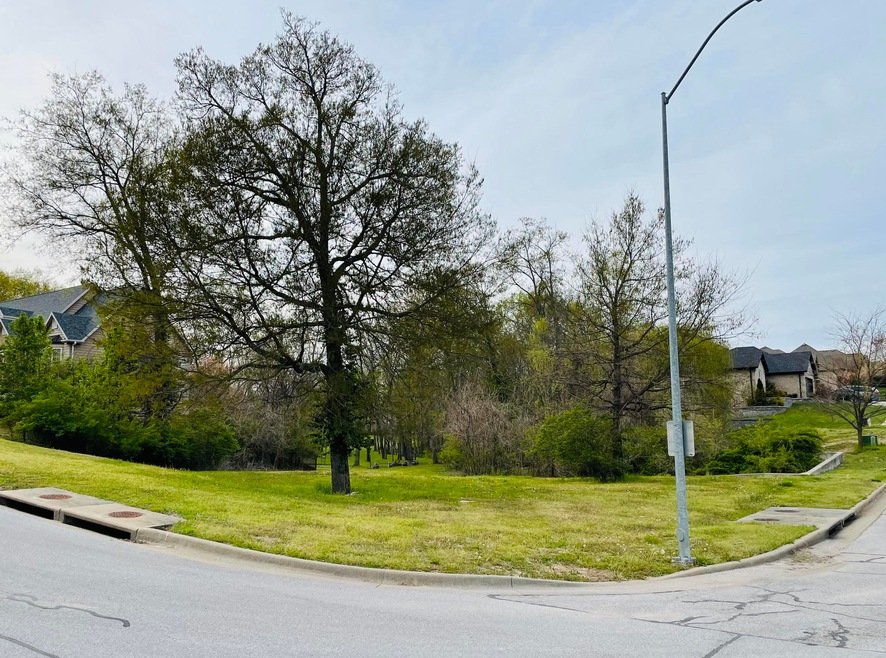 865 E Brook Forest, Nixa, MO 65714 - photo 1