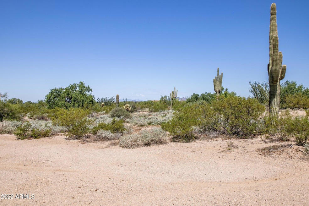 1-web-or-mls-D46A6233