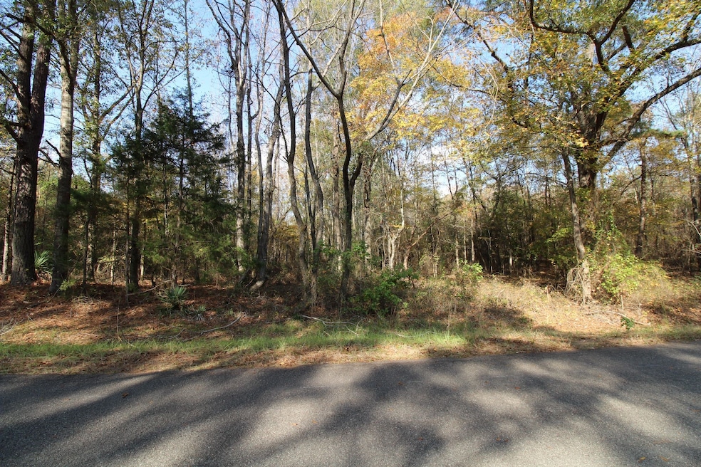 0 Harris Rd, Homer, LA 71040 - photo 1