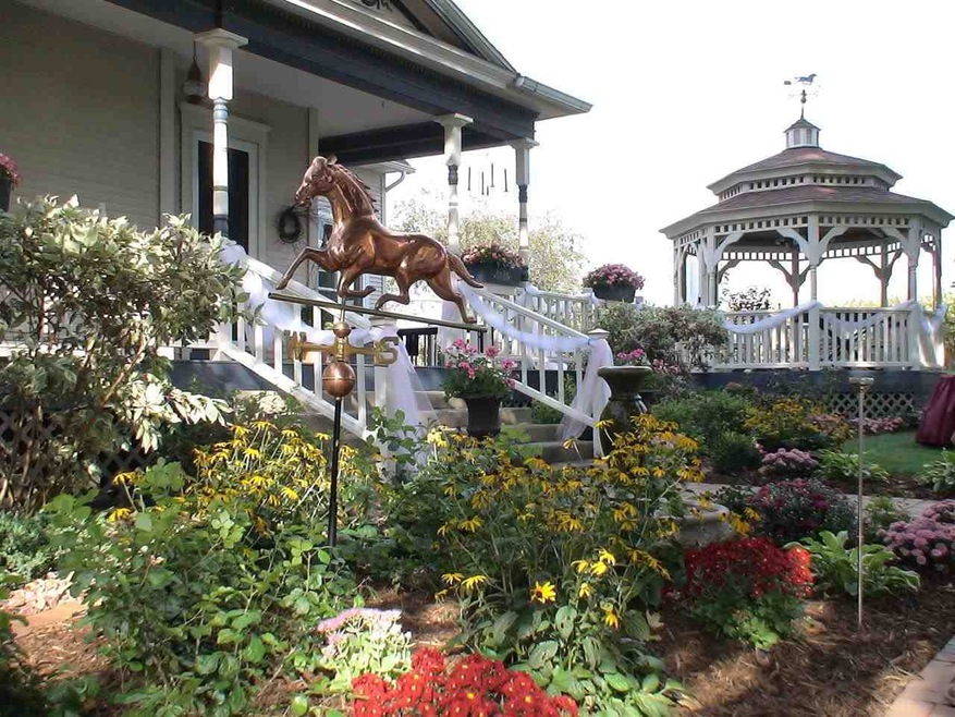Carousel Image