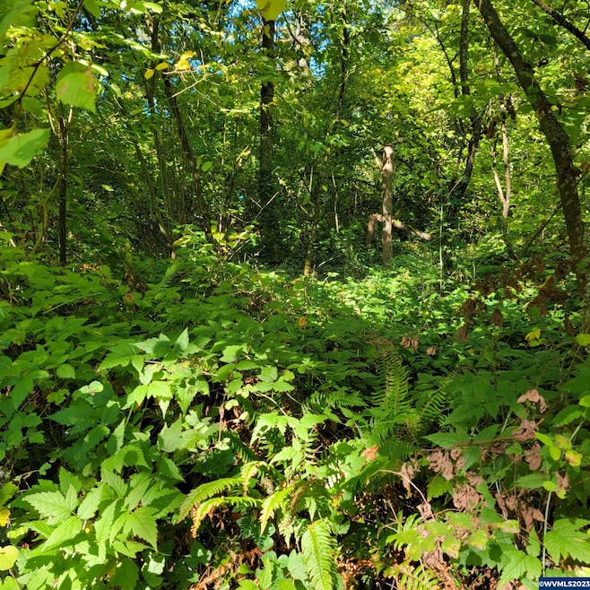 Sold $150,000 • Co-Listing Agent