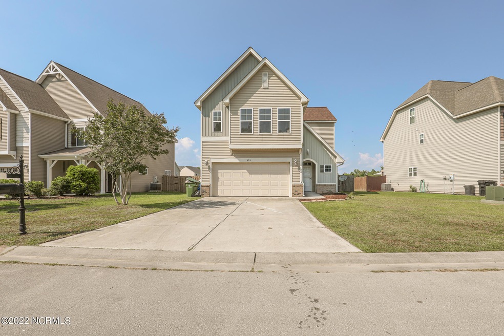 426 Bald Cypress-05