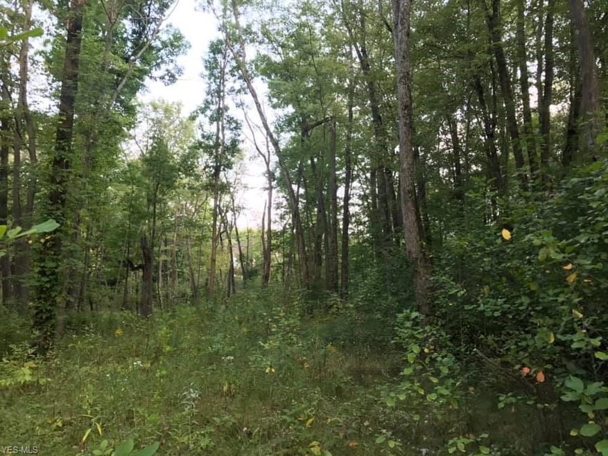 1123 Riley Rd, Aurora, OH 44202 - photo 1