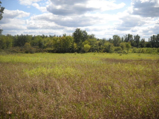 McCallum Property 003