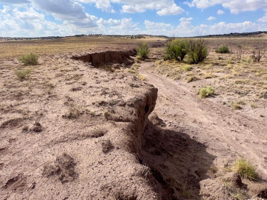 Tbd N6120, Saint Johns, AZ 85936 - photo 1