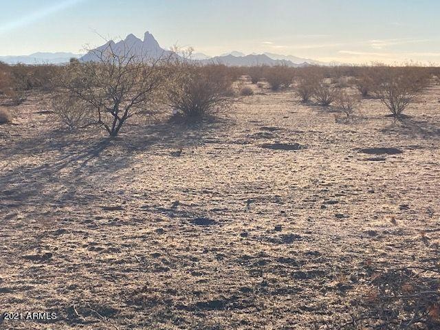 0 S Barrett Rd unit 6186212, Eloy, AZ 85131 - photo 1