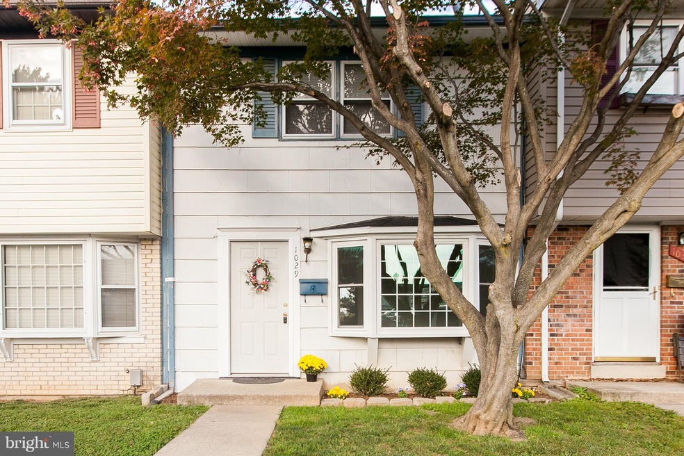 1029 Peach Orchard Ln, Brunswick, MD 21716 - photo 1