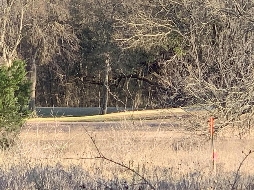 39299 Cedar Trail, Whitney, TX 76692 - photo 1