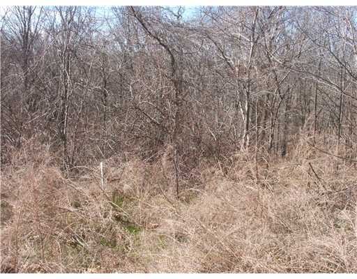 0 Westport Ln unit 651045, Bella Vista, AR 72715 - photo 1