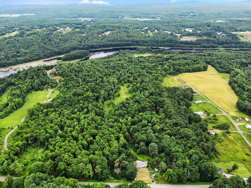 01_DJI_20240723152526_0101_D_DxO_mls