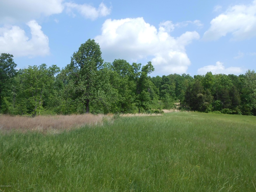 960 Sulphur Lick Rd