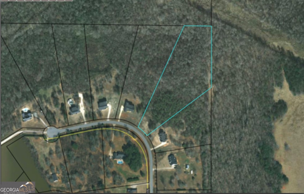 0 Billies Way unit 10435066, Meansville, GA 30256 - photo 1