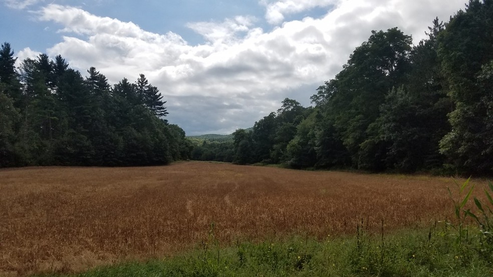 0 Old Sunderland Rd unit 72387546, Montague, MA 01351 - photo 1