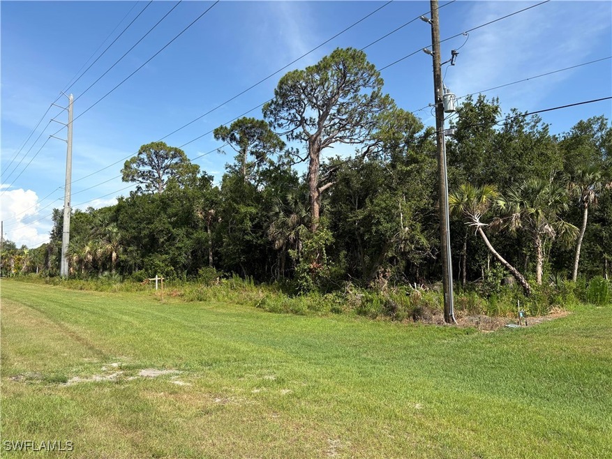View of grassy yard