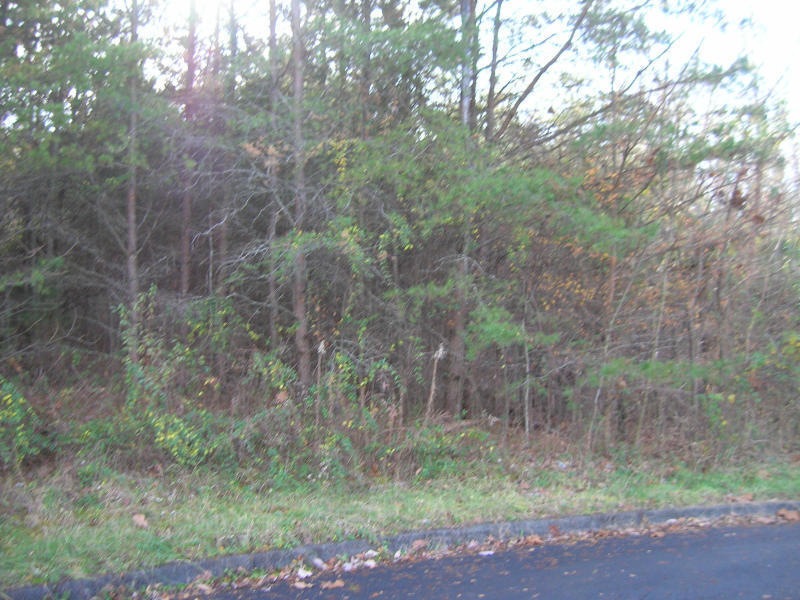 20170328183624113857000000-o