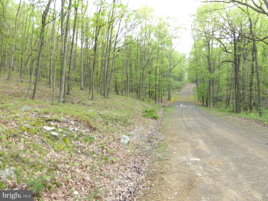 3 Cardinal Run, Augusta, WV 26704 - photo 1