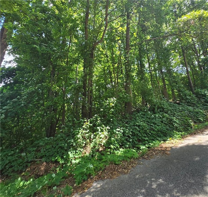 View of tree filled area